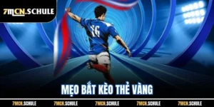 Mẹo Bắt Kèo Thẻ Vàng | Chia Sẻ Những Bí Quyết Hay Dễ Thắng 15 Mẹo Bắt Kèo Thẻ Vàng | Chia Sẻ Những Bí Quyết Hay Dễ Thắng